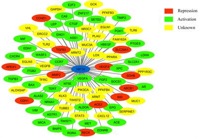 Hypoxia Mimetic Agents for Ischemic Stroke